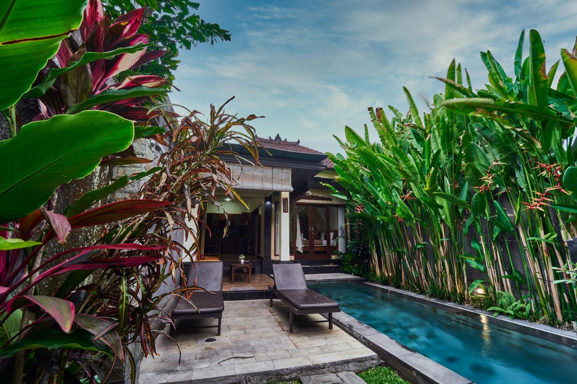 Pondok Buda Merta Ubud Exteriér fotografie