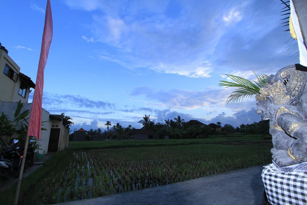 Pondok Buda Merta Ubud Exteriér fotografie