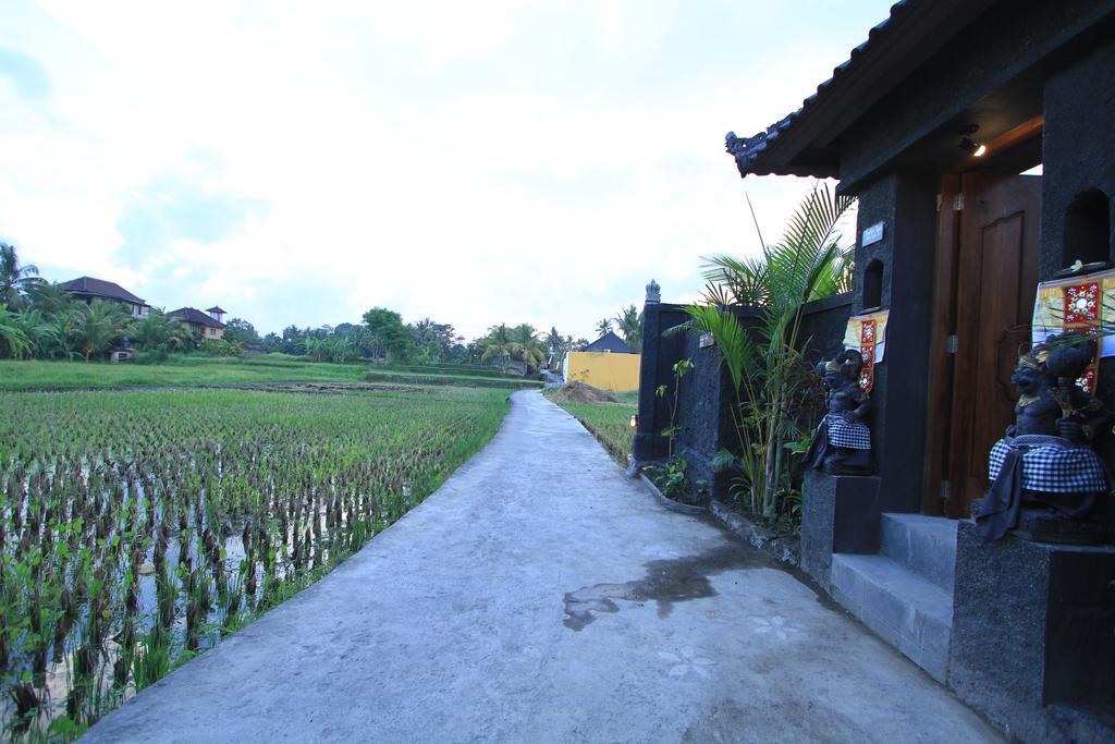 Pondok Buda Merta Ubud Exteriér fotografie