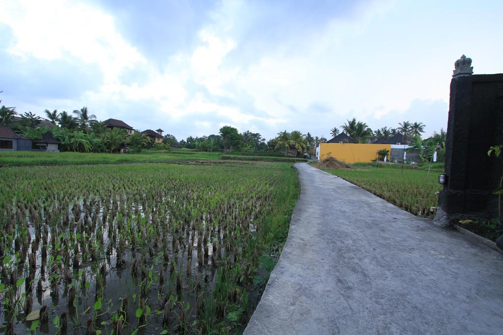 Pondok Buda Merta Ubud Exteriér fotografie